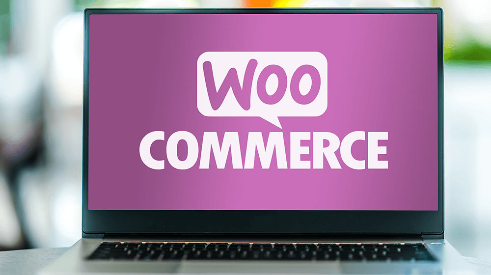 woocommerce themes for online storefront (1)