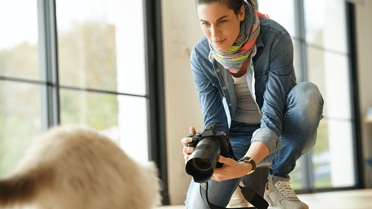 pet photography