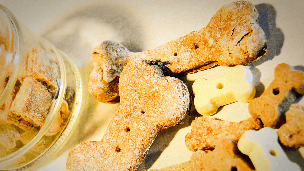 How to Start a Dog Treat Business