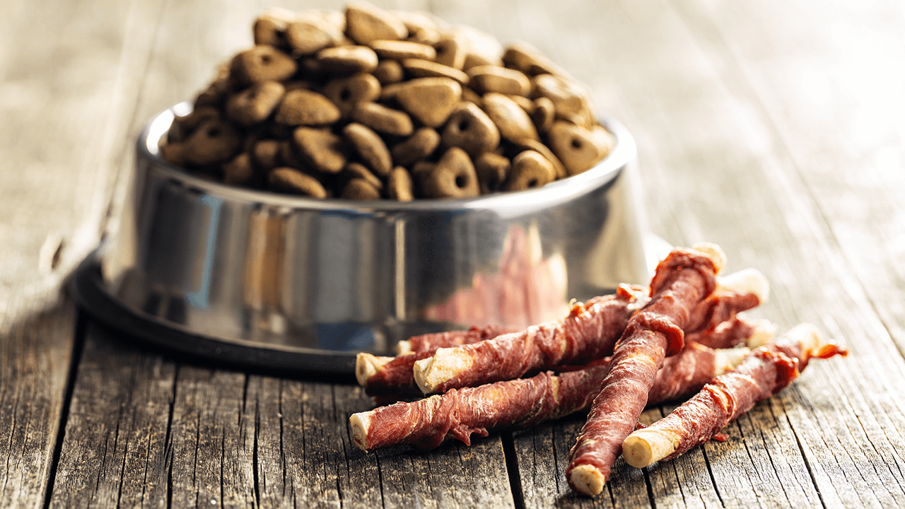 How to Start a Dog Treat Business