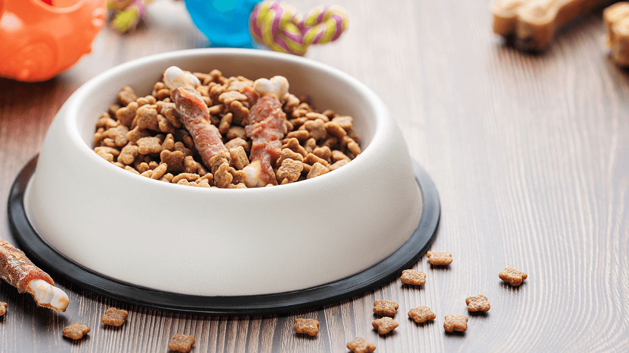 How to Start a Dog Treat Business
