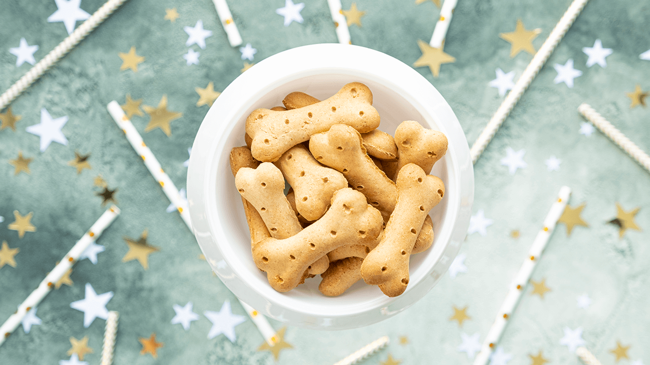 How to Start a Dog Treat Business