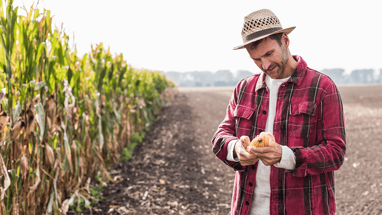 grants up to $100000 for agricultural businesses 