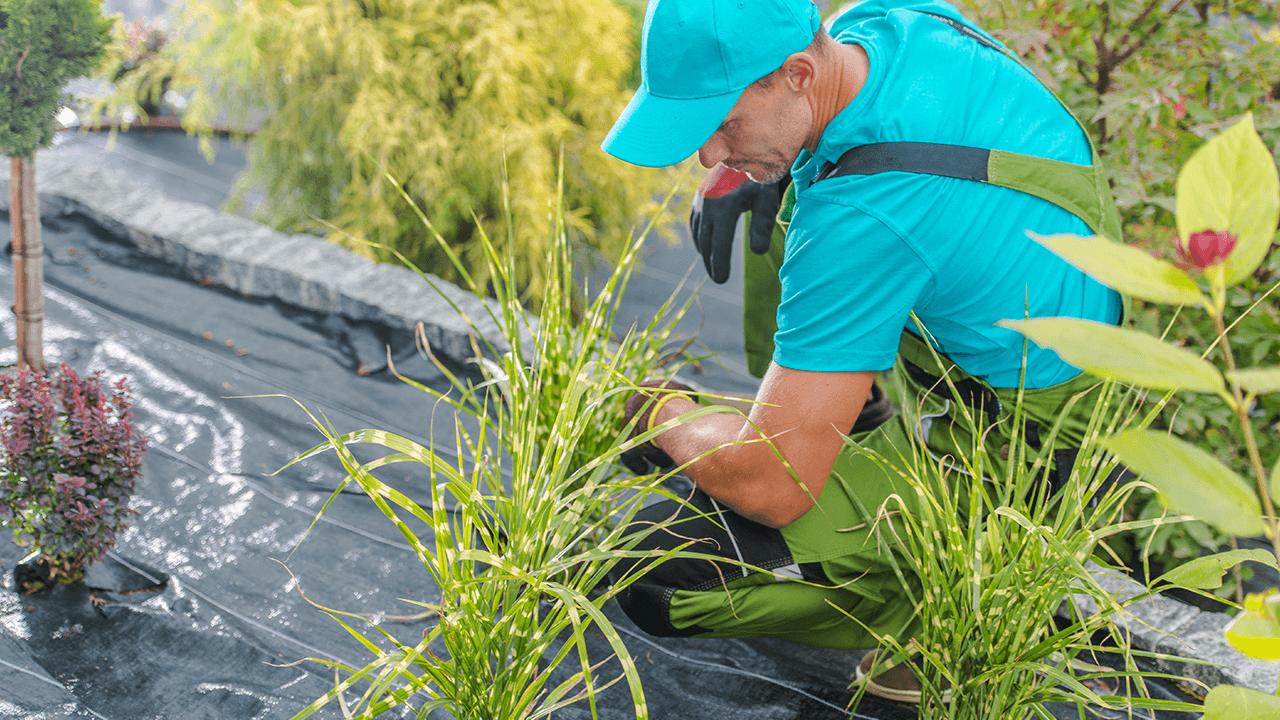 how to hire a landscaper