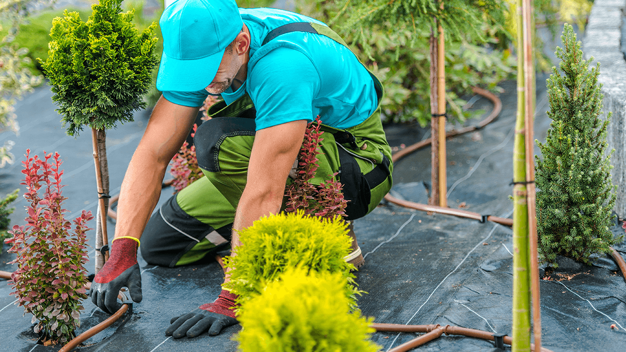 how to hire a landscaper
