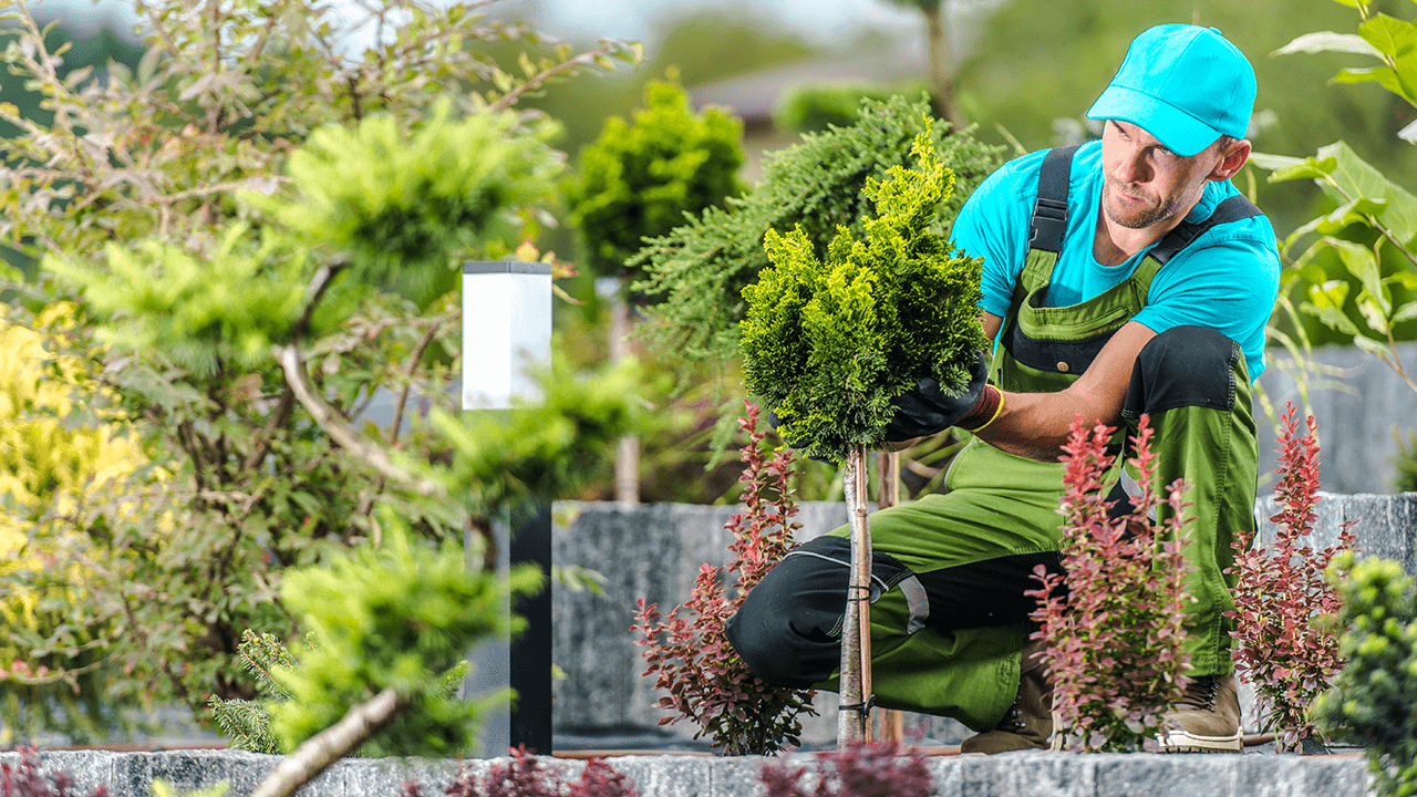 how to hire a landscaper