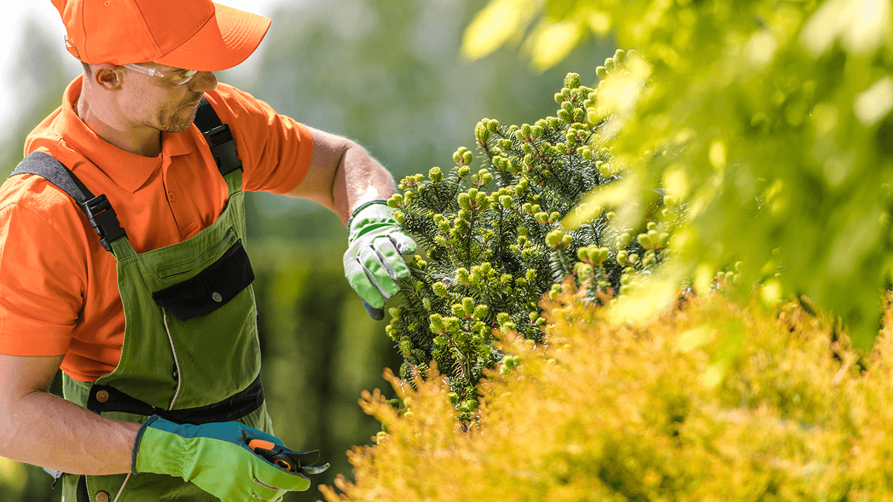 how to hire a landscaper