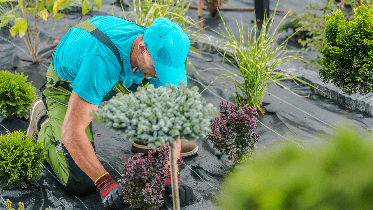 how to hire a landscaper