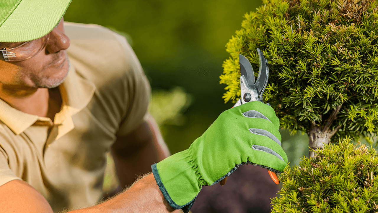 how to hire a landscaper