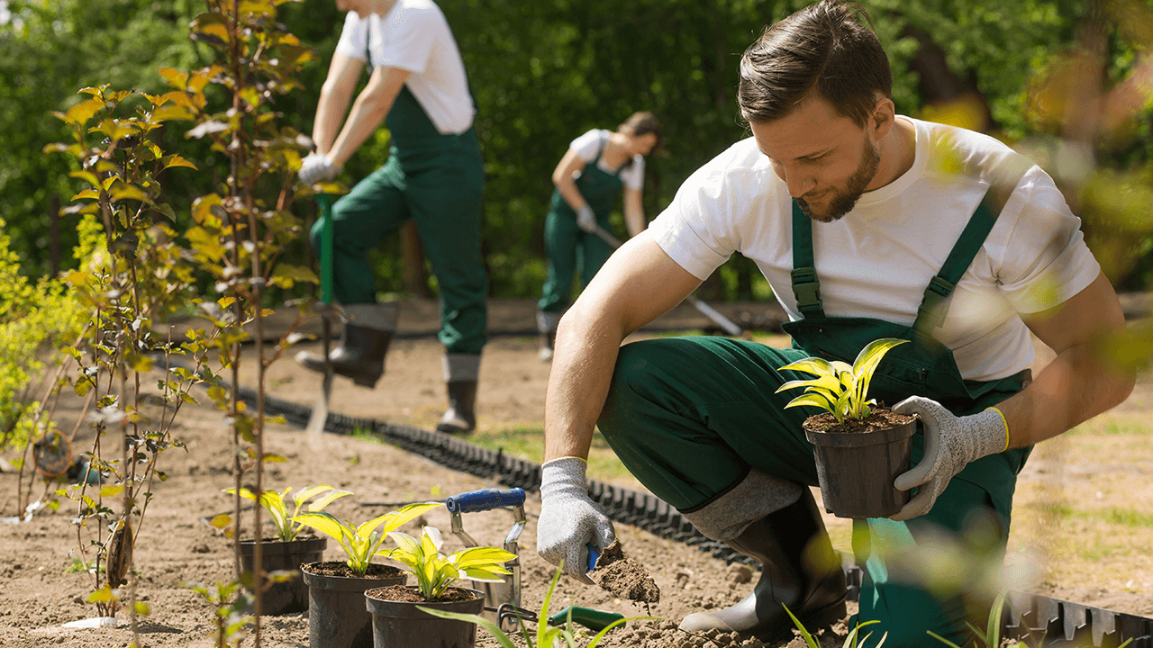 how to hire a landscaper