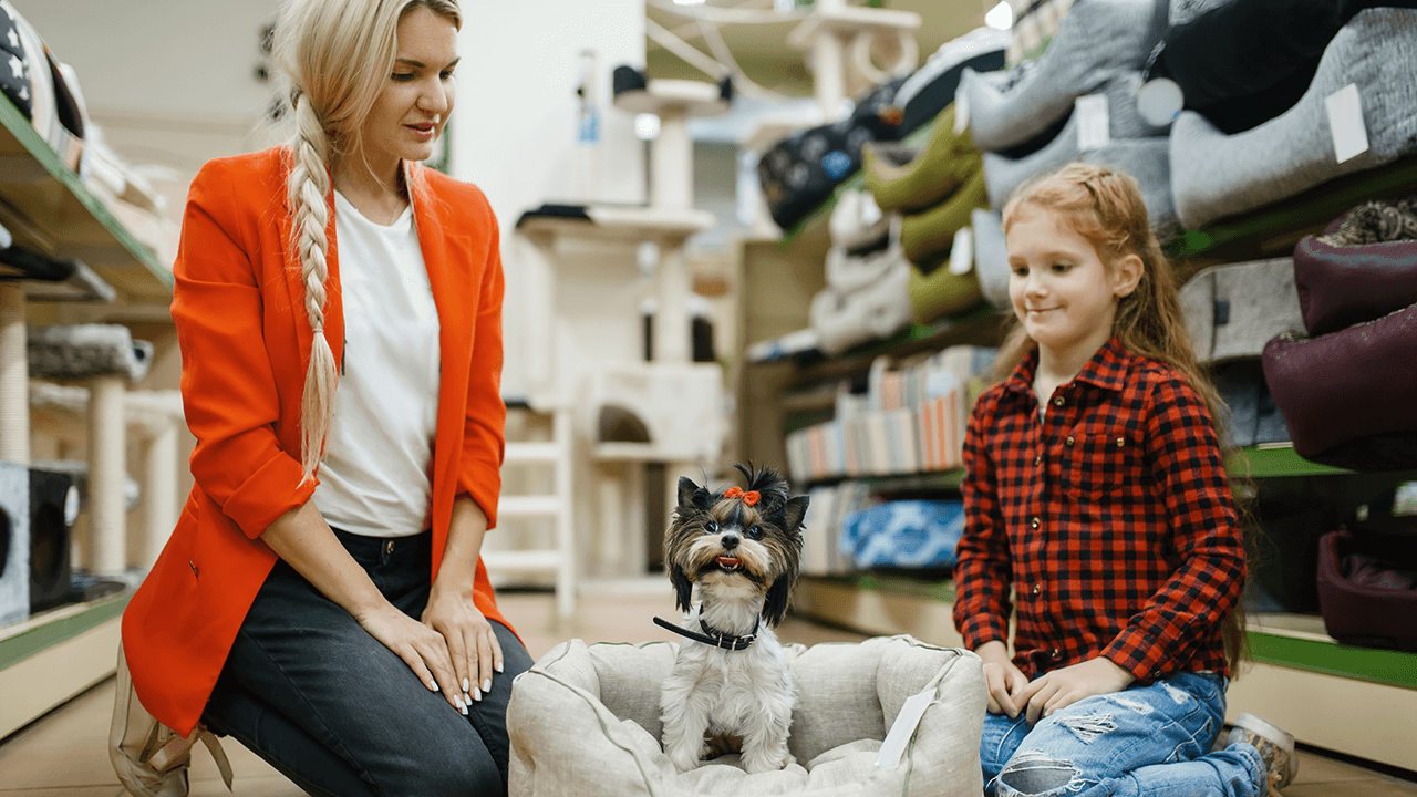 How to Open a Pet Store