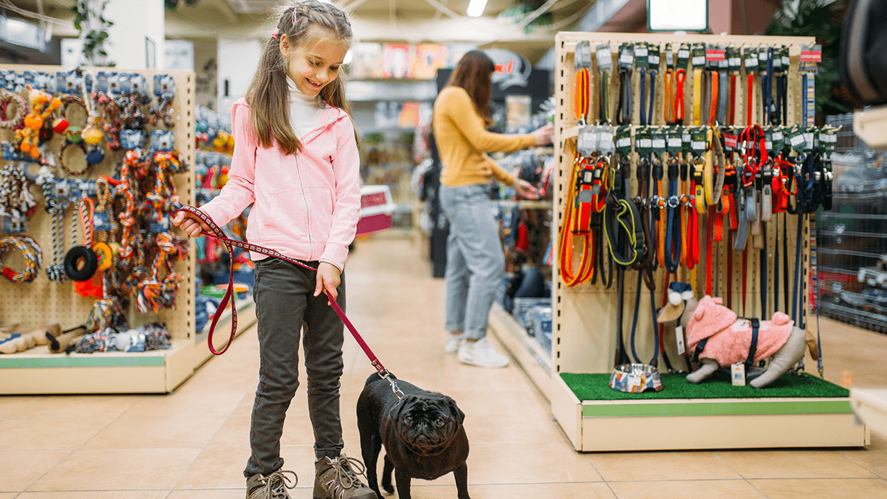 How to Open a Pet Store