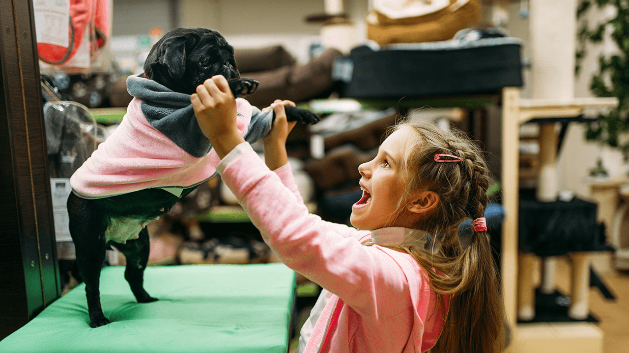 How to Open a Pet Store