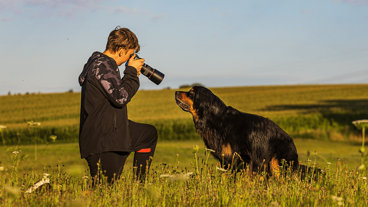 pet photography