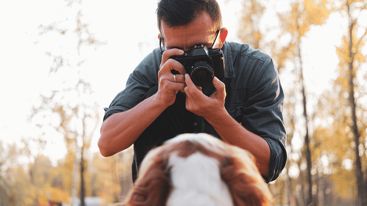pet photography