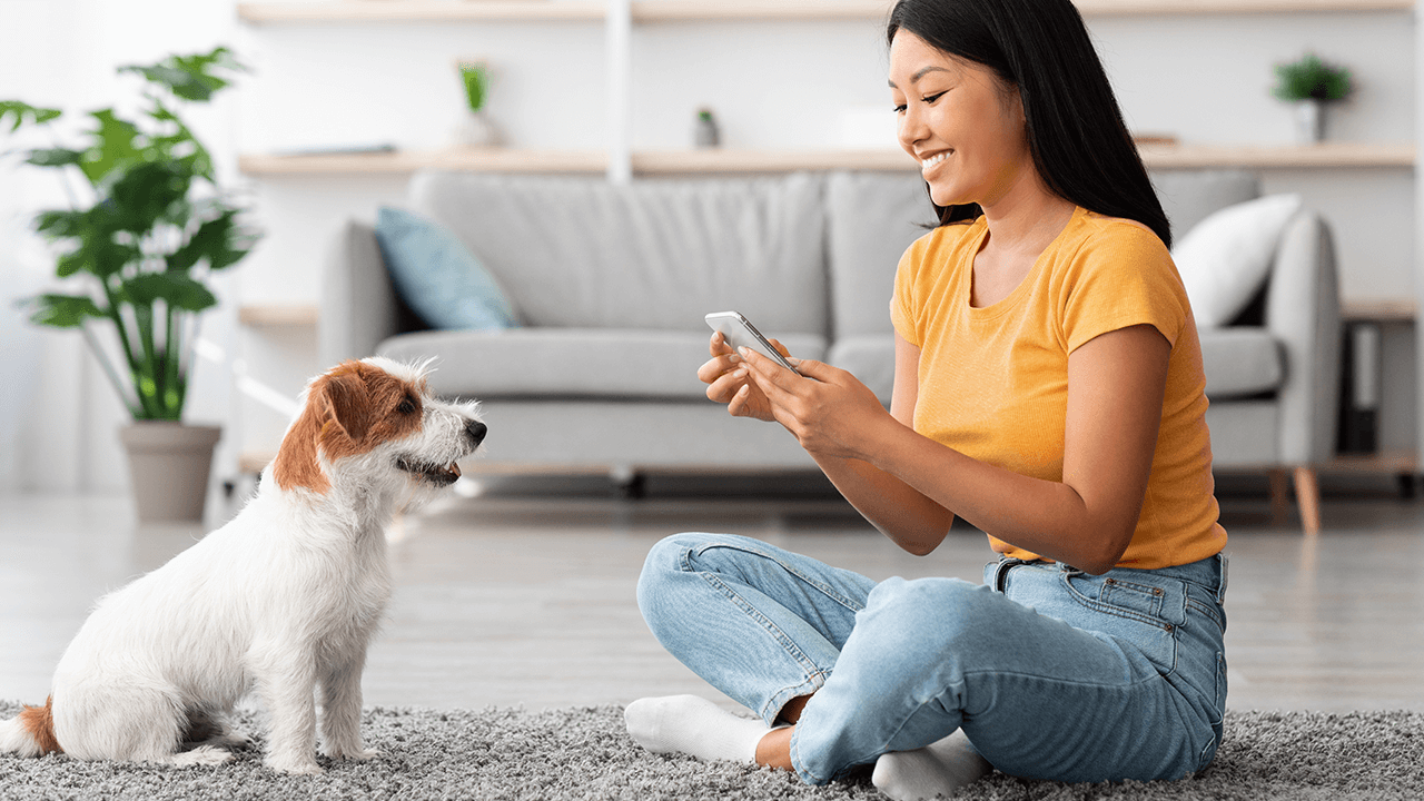 pet photography