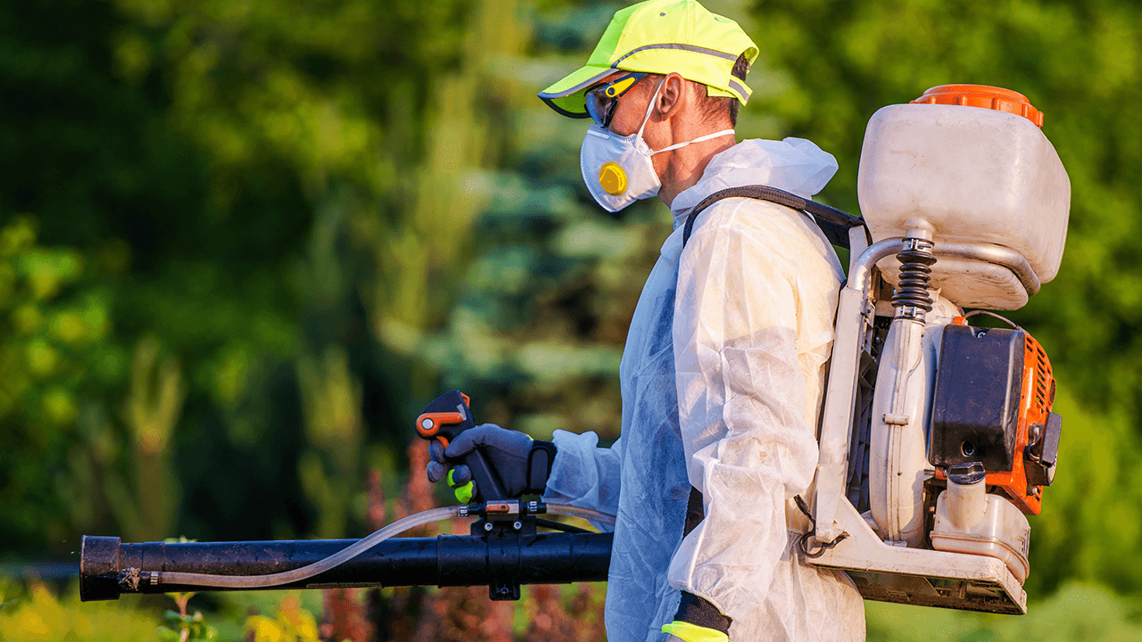 How to Start a Pest Control Business