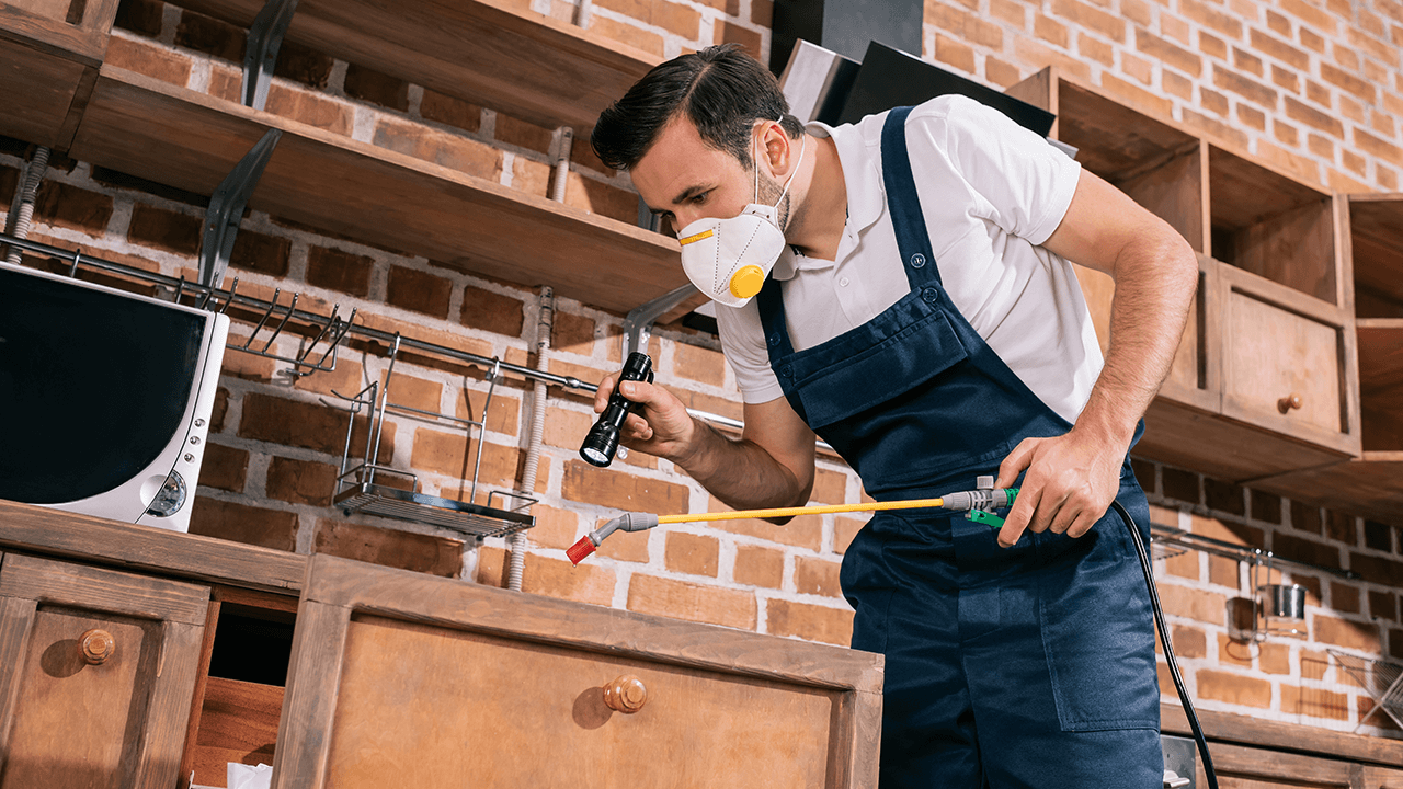 How to Start a Pest Control Business
