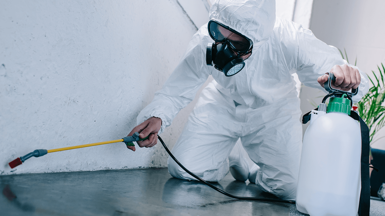 How to Start a Pest Control Business