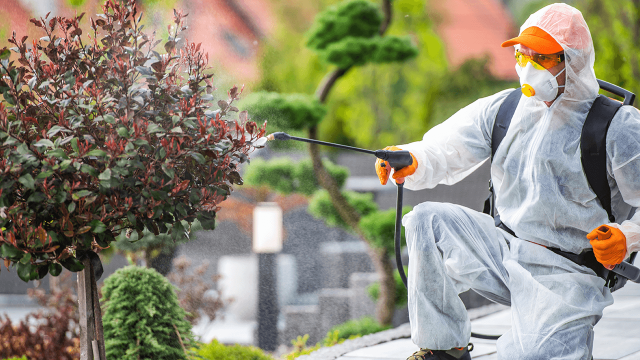 How to Start a Pest Control Business
