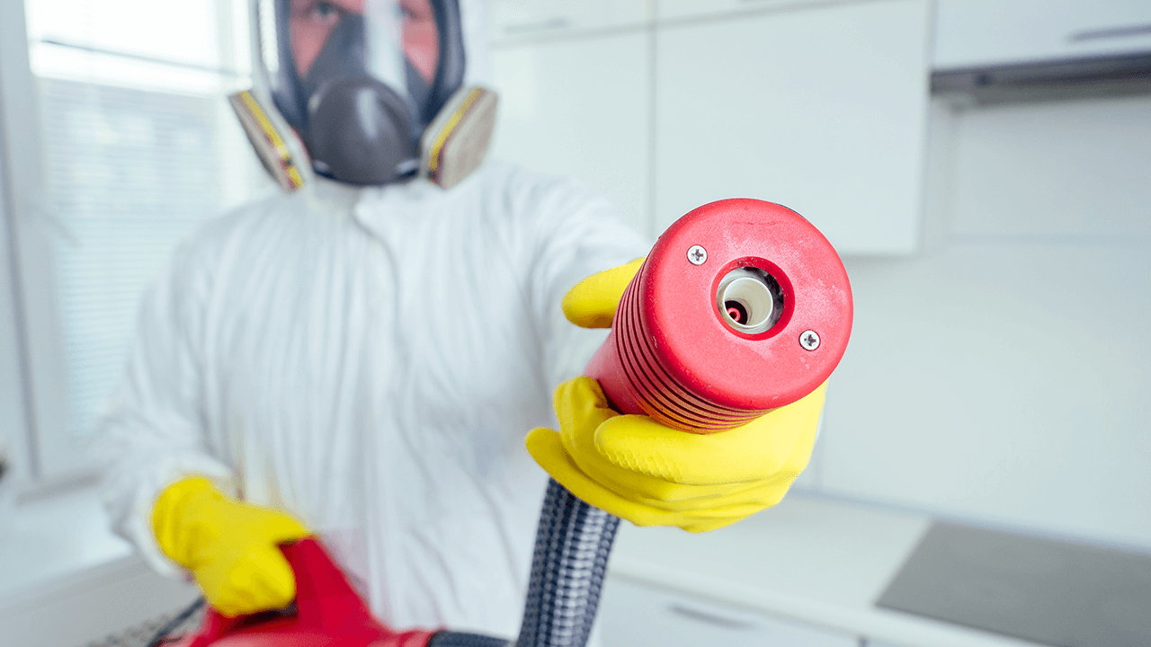 How to Start a Pest Control Business