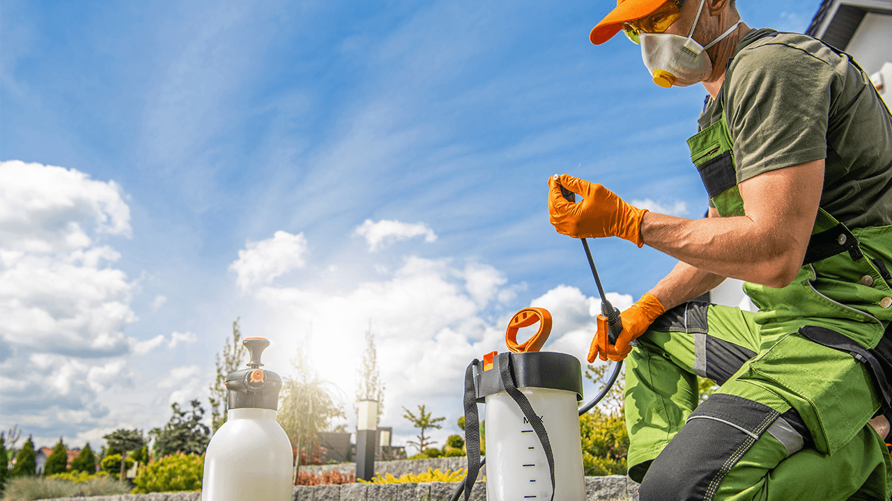 How to Start a Pest Control Business