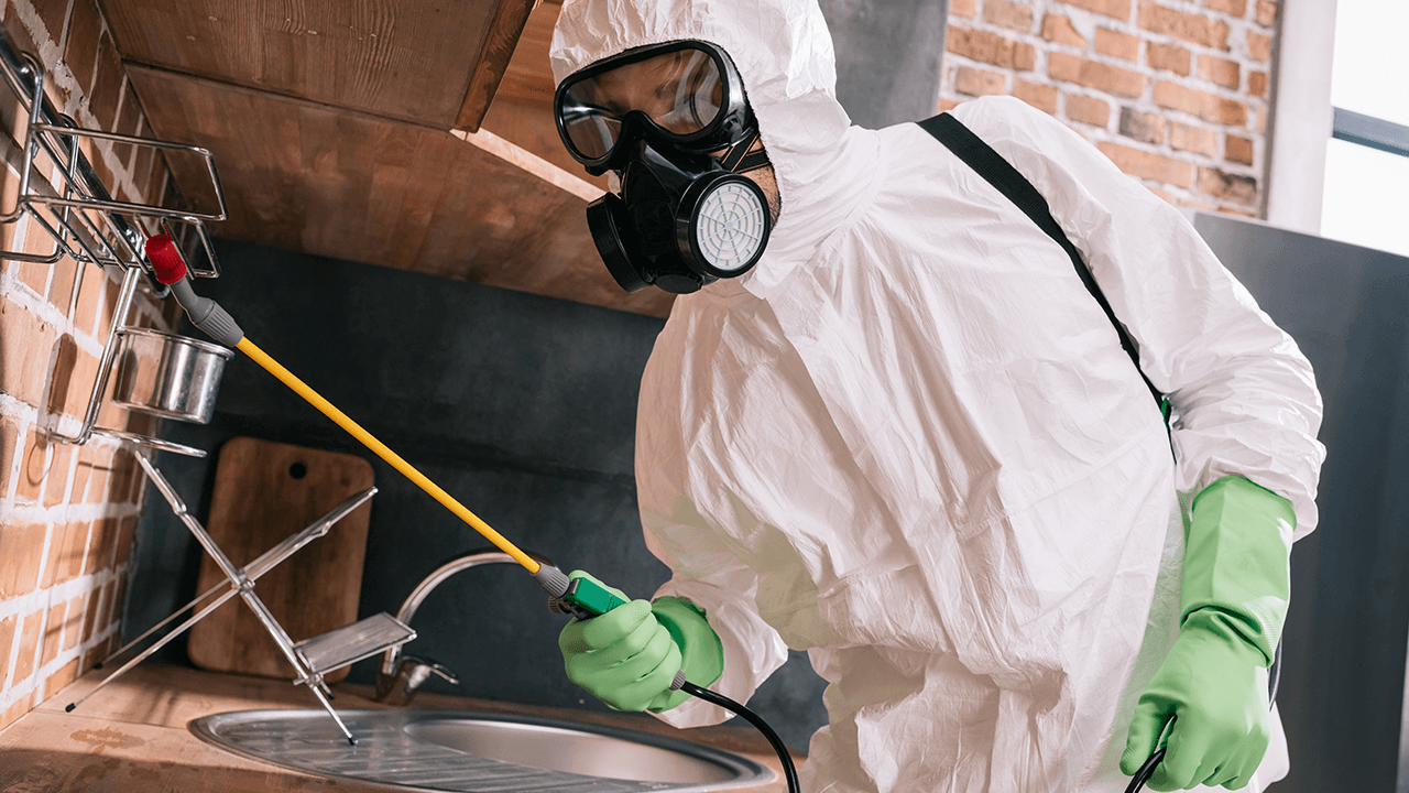 How to Start a Pest Control Business