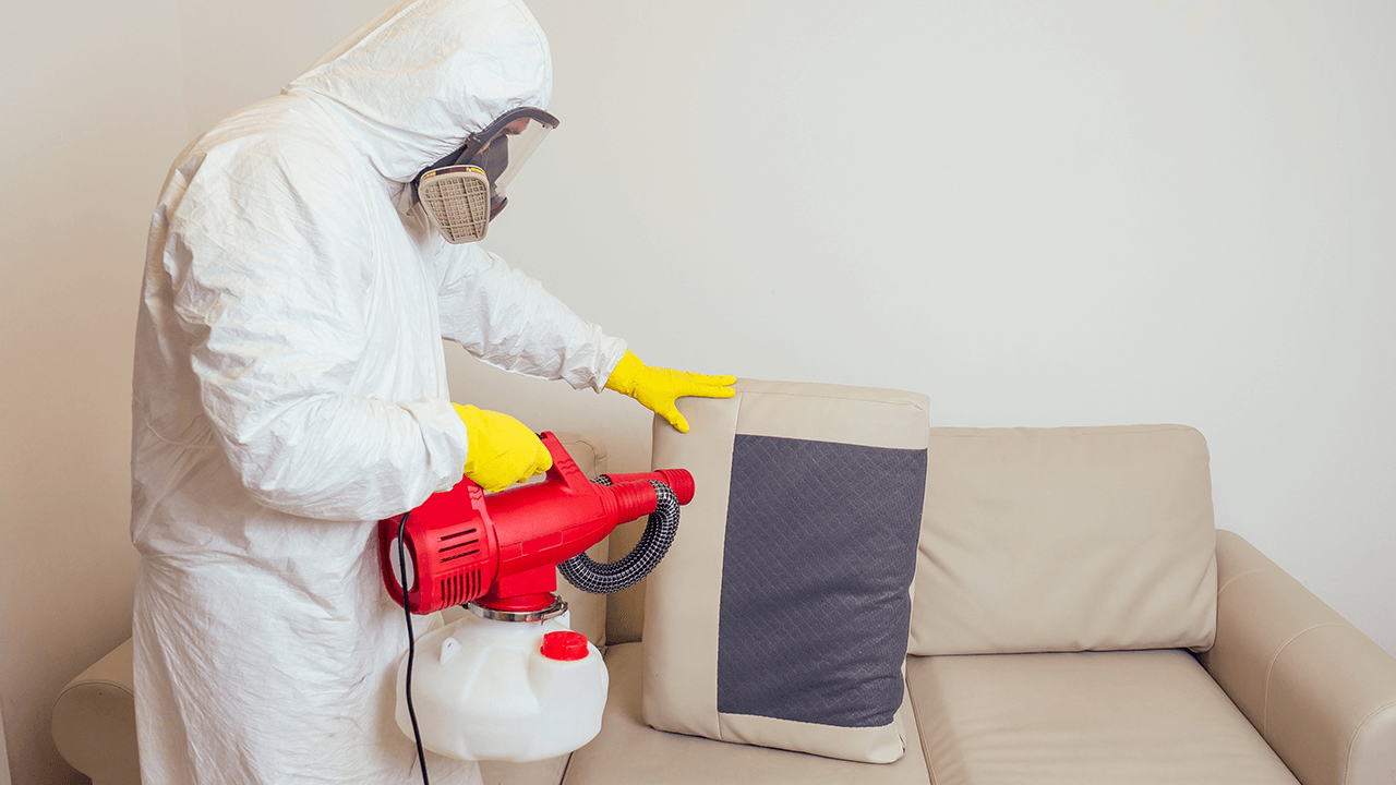 How to Start a Pest Control Business