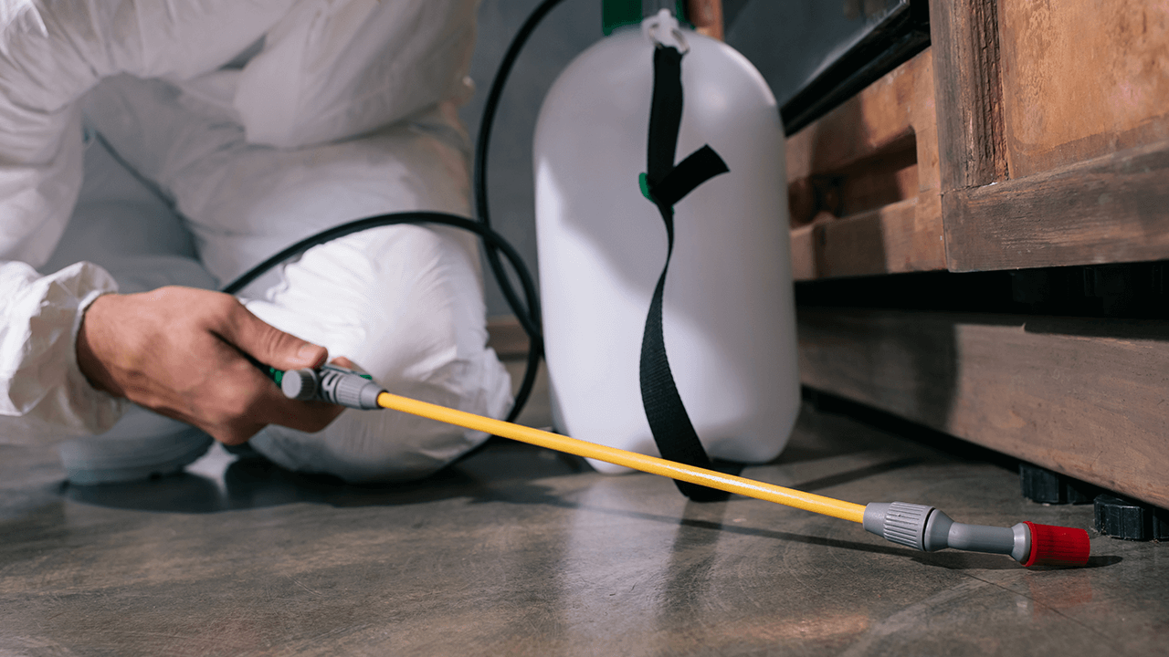 How to Start a Pest Control Business