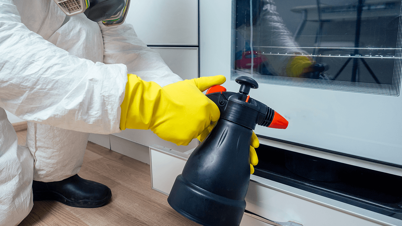 How to Start a Pest Control Business