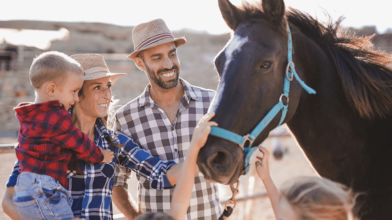 how to start a ranch