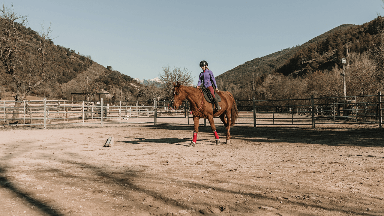 how to start a ranch
