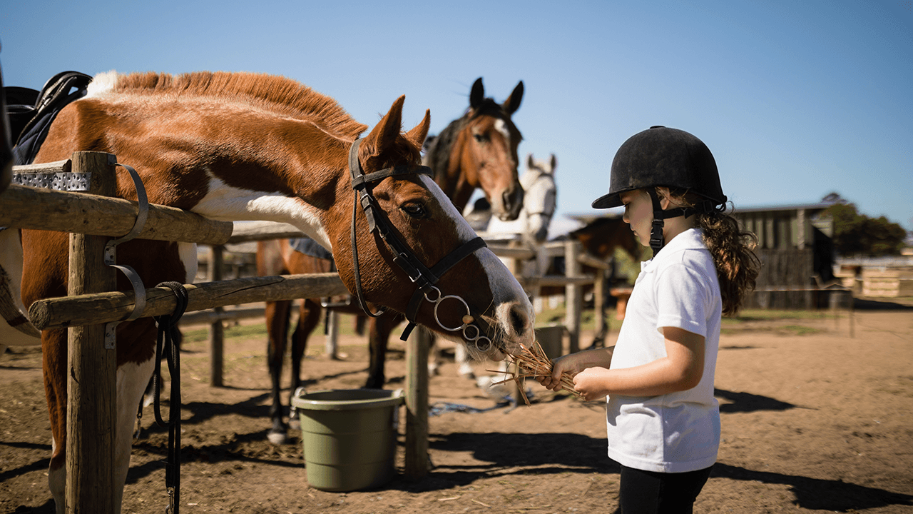 how to start a ranch
