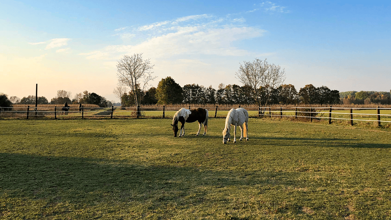 how to start a ranch