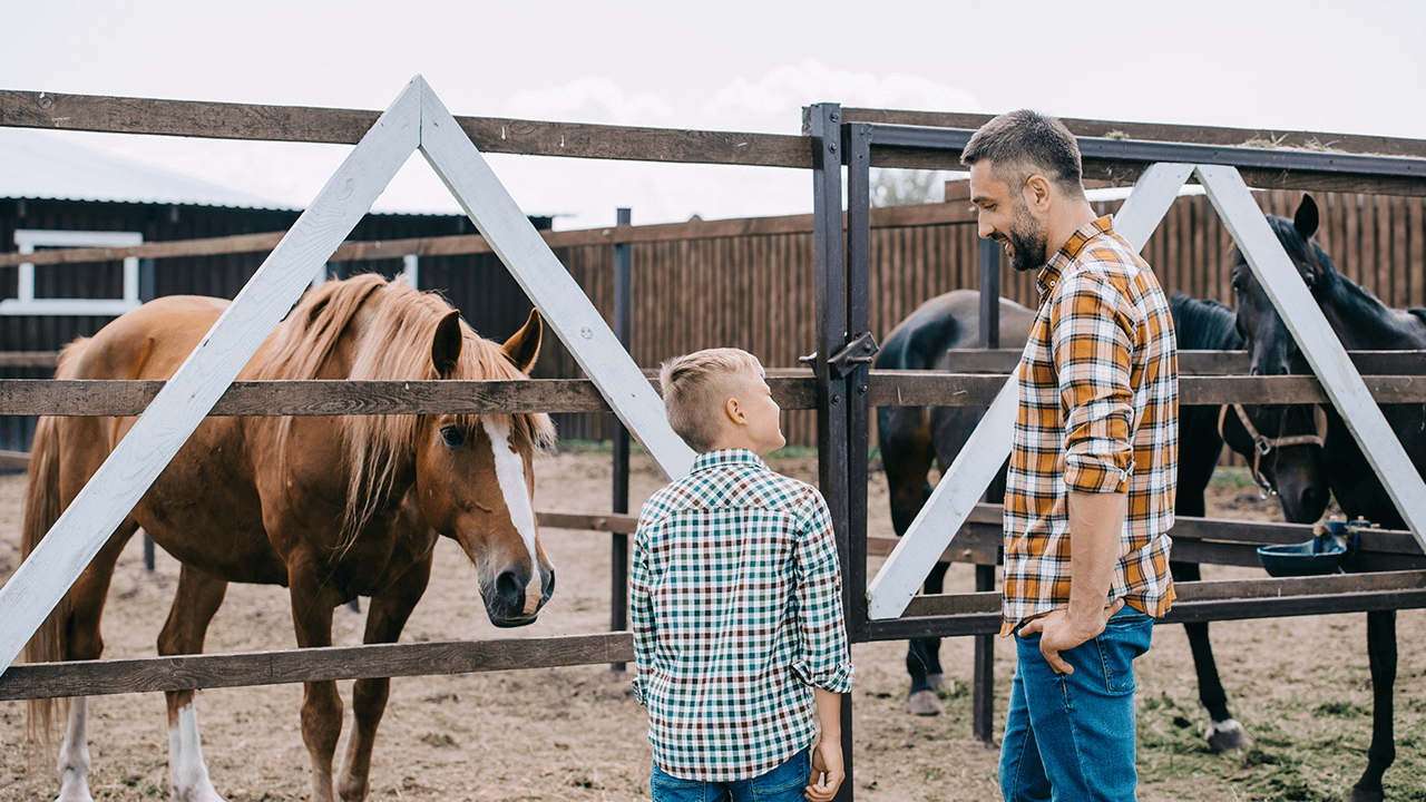 how to start a ranch