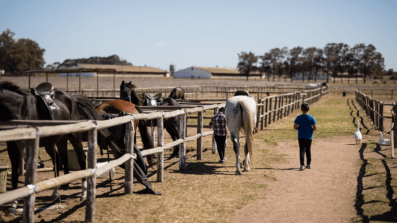 how to start a ranch