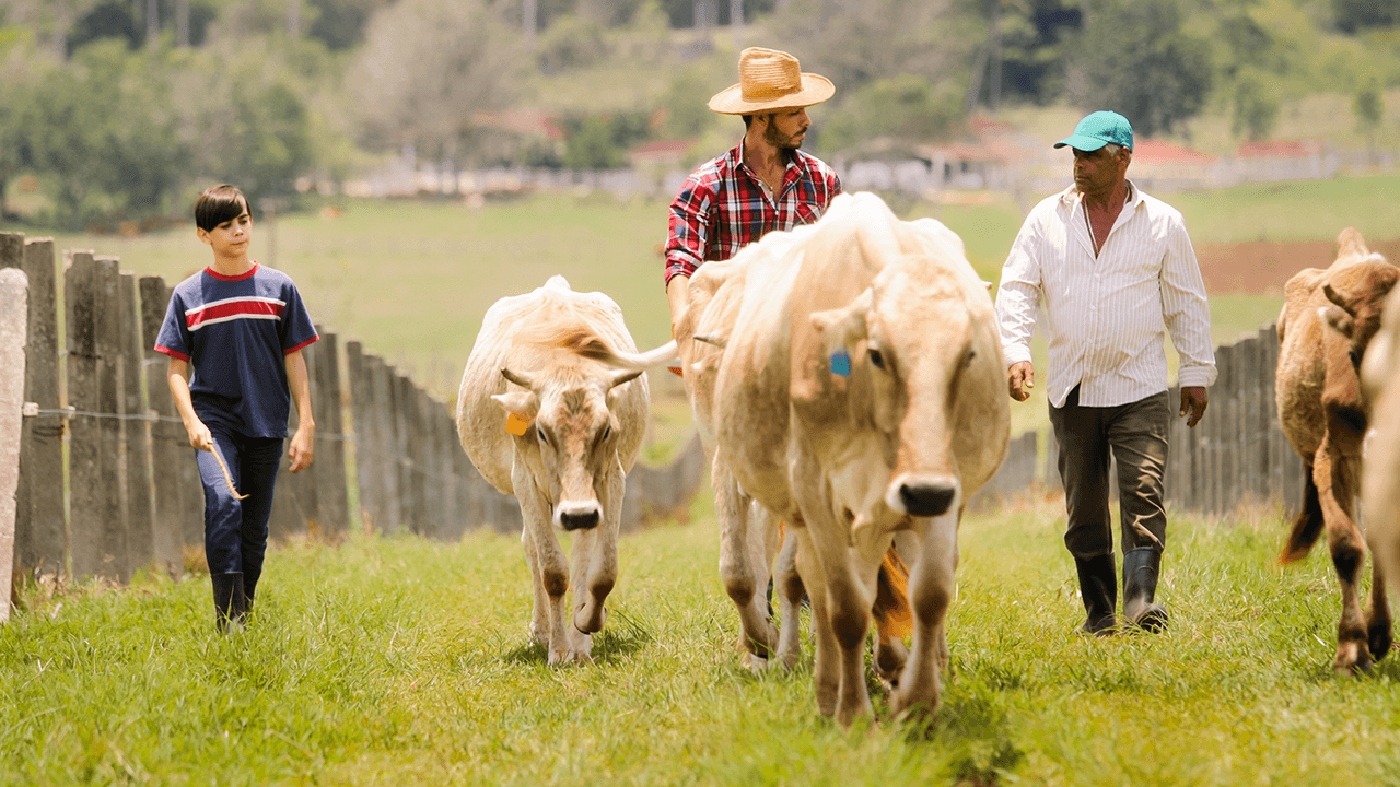 how to start a ranch