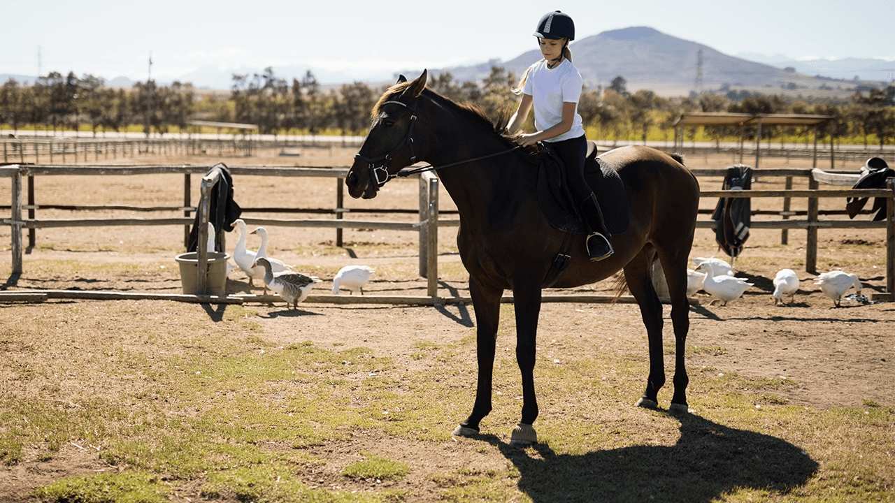 how to start a ranch