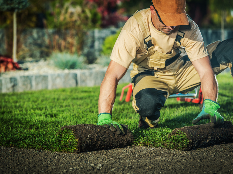 Landscaping Business