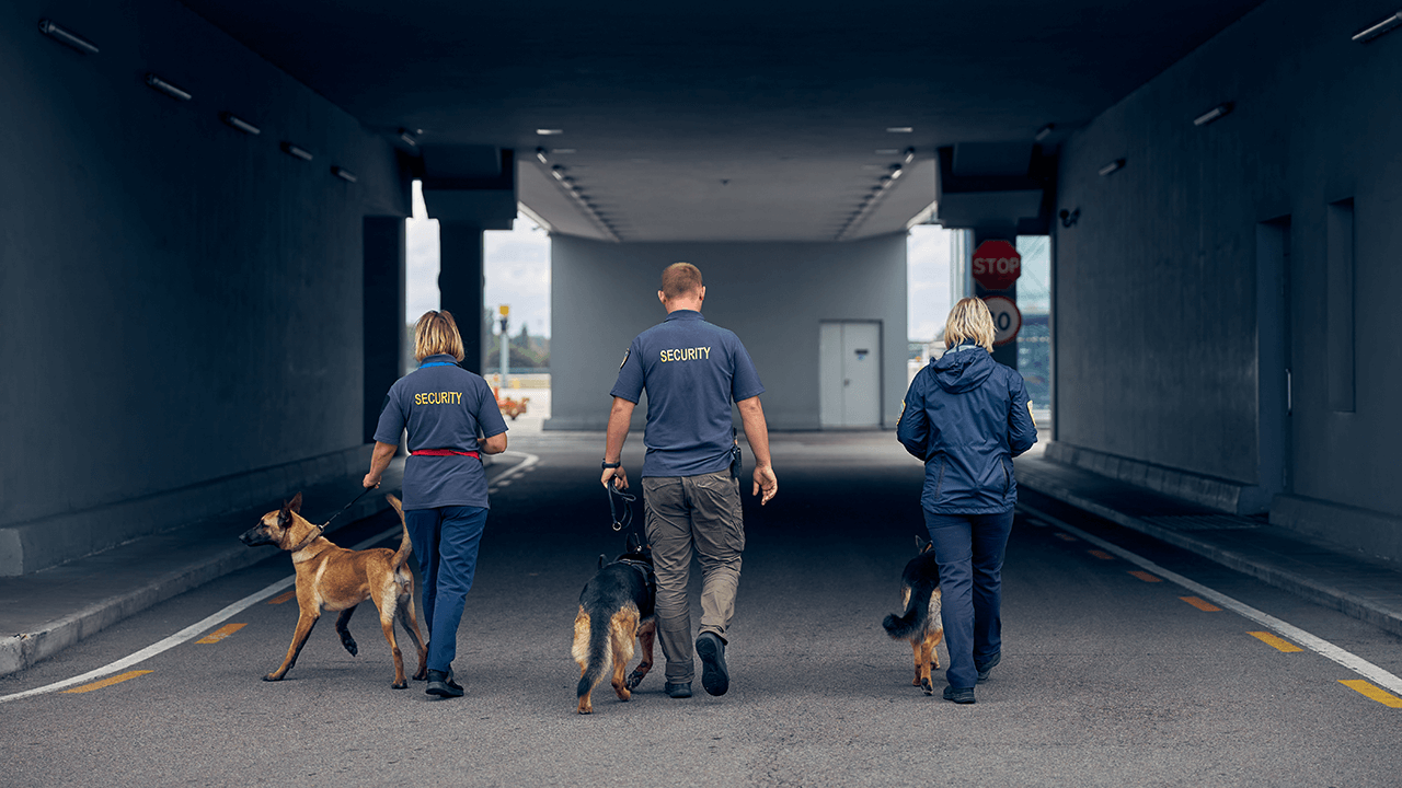 how to start a security company