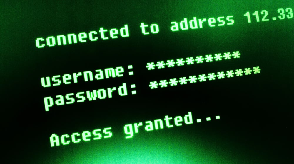 What Is a Data Breach and How Can It Impact Your Small Business?