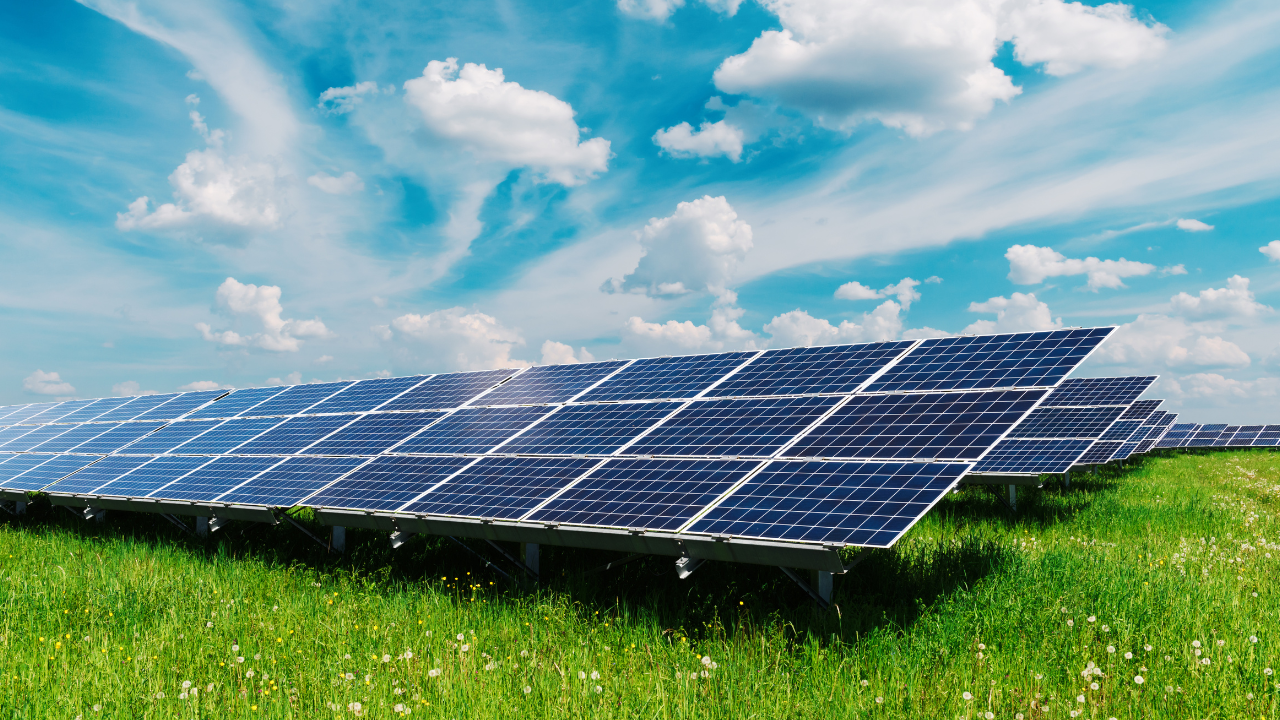 solar panel for business