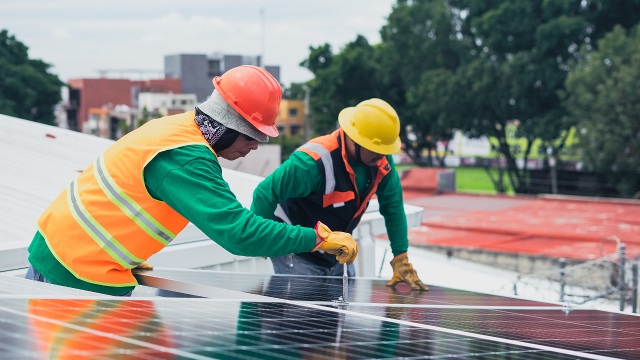 solar panel for business