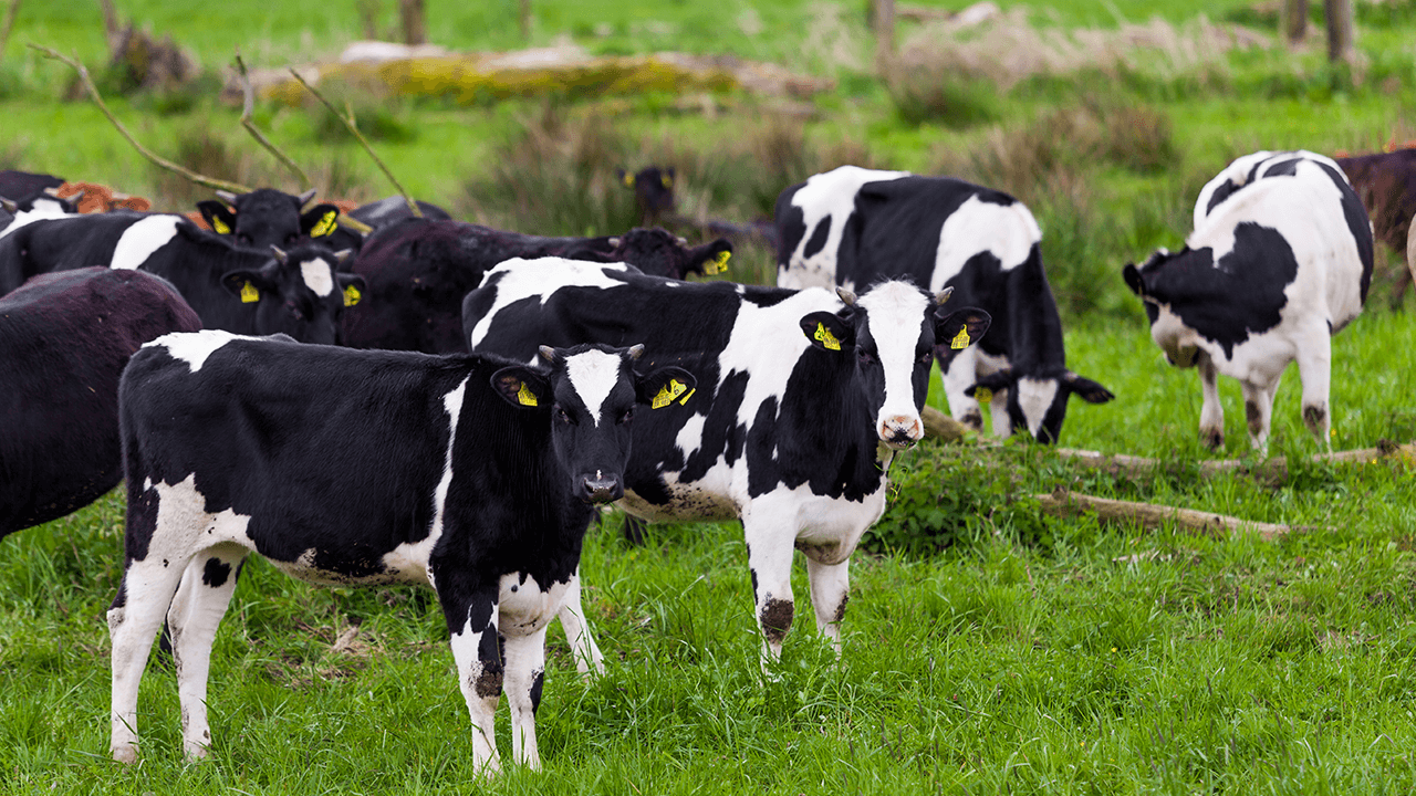 what is organic farming