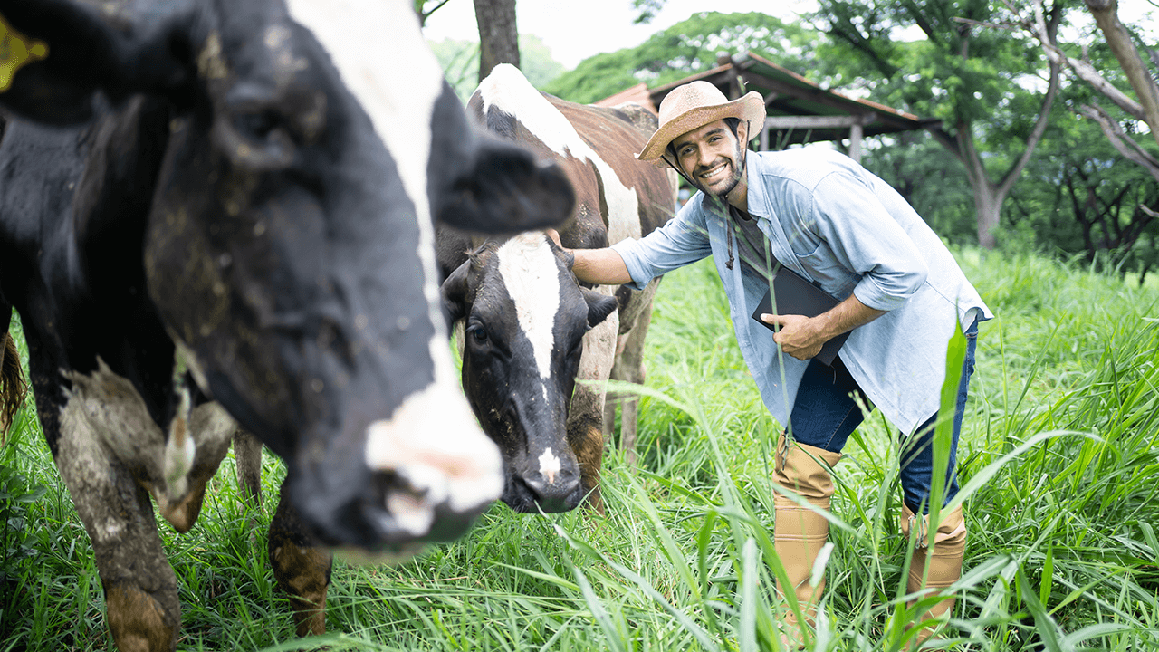 what is organic farming
