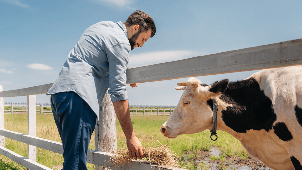 what is organic farming