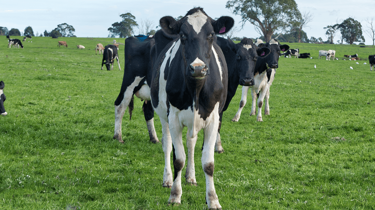 what is organic farming
