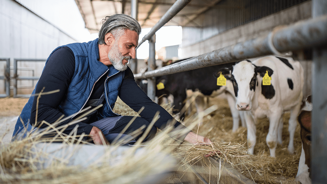 what is organic farming