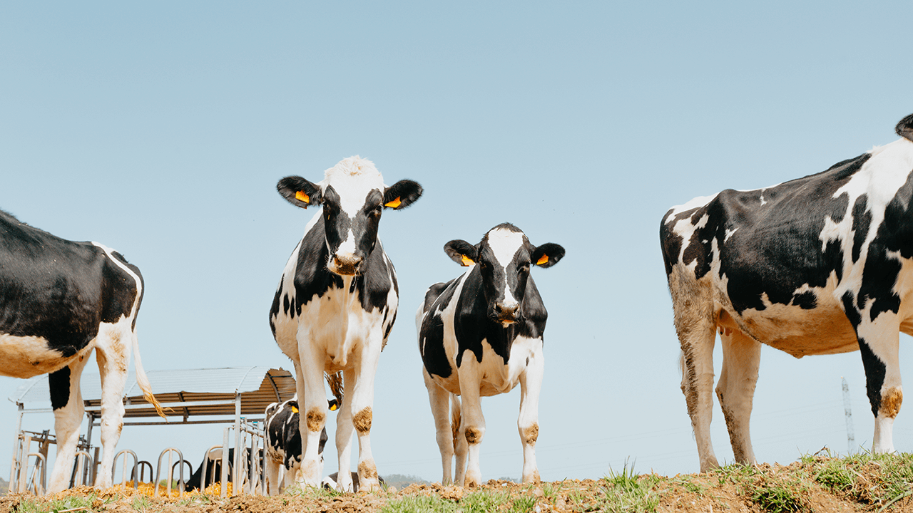 what is organic farming