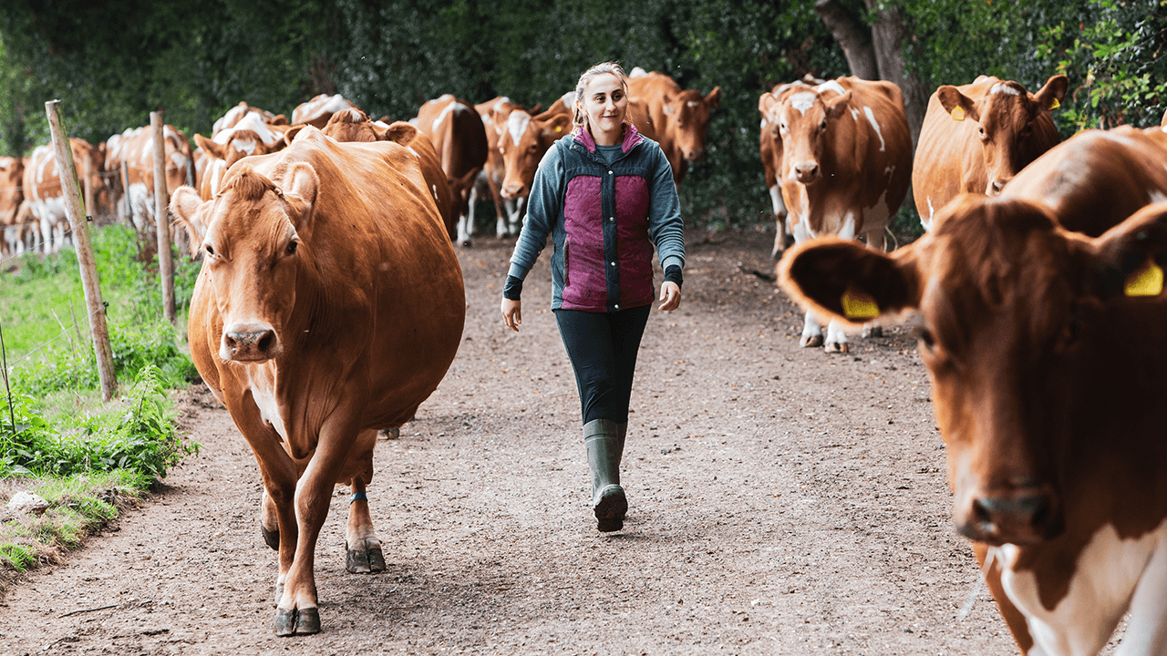 what is organic farming
